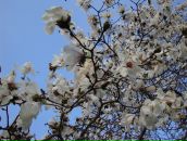 Роман Погріщук фотография #5 (источник - https://vk.com/id7505041)