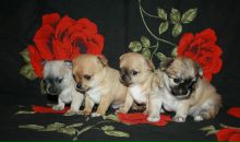 Фотография Лялиной Лены