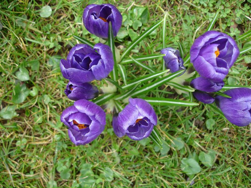 Ирина Лукс фотография #38