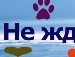 Федя Іванюк фотография #8 (источник - https://vk.com/id107985346)