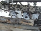 Артём Павеличев фотография #1