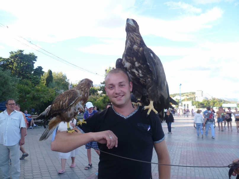Дмитрий Тимошенко фотография #24