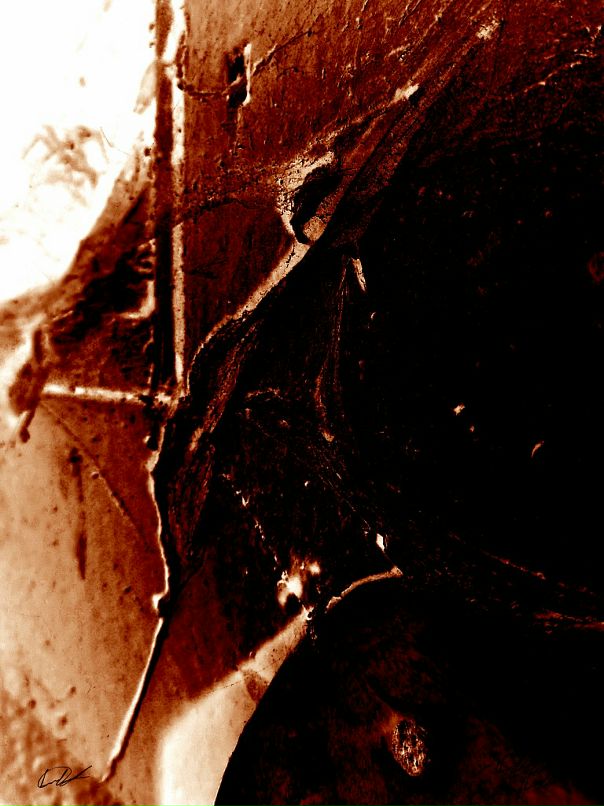 Den D фотография #48