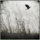 Фотография Овчинниковой Натальи