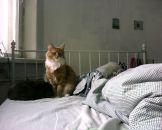 Фотография Макаров Миша