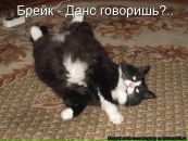 Фотография Мартынова Егора