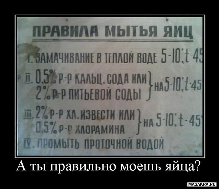Дмитрий Гончаров фотография #22
