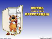Фотография Дивисенко Романа