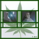 Анна Ягг фотография #21 (источник - https://vk.com/id4562317)