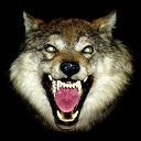 Noh Che фотография #5 (источник - https://vk.com/id2720993)