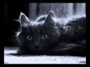 Фотография Сандаковой Любови