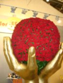 Анна Ершова фотография #28 (источник - https://vk.com/id4041552)