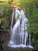 Cyrus __ фотография #42 (источник - https://vk.com/id2820677)