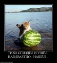 Di Gorshko[va] фотография #38 (источник - https://vk.com/id136858386)