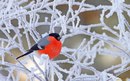Ірина Лапчак фотография #4 (источник - https://vk.com/id16645858)