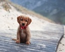 Алінка Питула фотография #39 (источник - https://vk.com/id325180253)