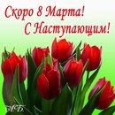 Cesur Cesur фотография #3 (источник - https://vk.com/id155572326)