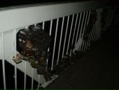 Андрей Марченко фотография #50 (источник - https://vk.com/id2327790)