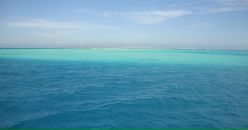 Фотография Якуша Валерия