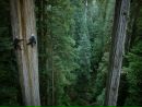 Фотография Тимур Шаймарданов