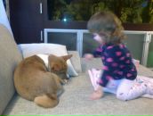 Фотография Комракова Константина