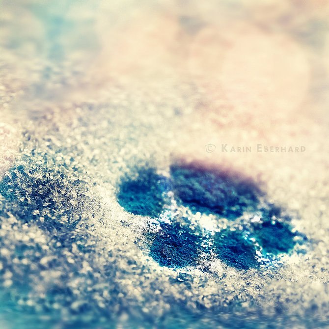 Анжела Вадимкина фотография #24