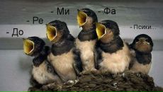 Олександр Фітак фотография #2 (источник - https://vk.com/id70080844)