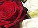 Таня Ходаківська фотография #22 (источник - https://vk.com/id150637633)