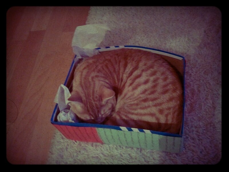 Александр Самсонов фотография #33