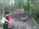 Настя Бадрізлова фотография #16 (источник - https://vk.com/id162689847)