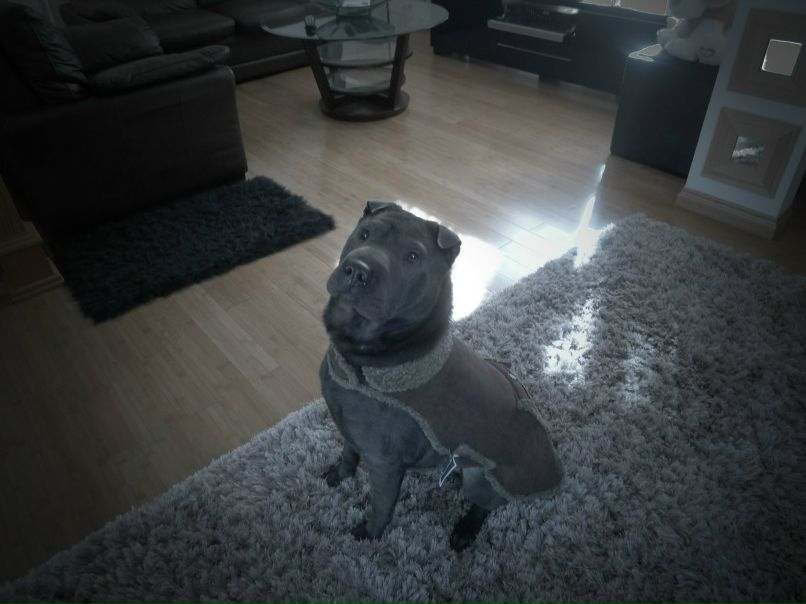 Tymur Newcomb фотография #30