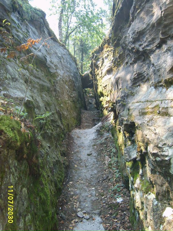 Евгений Трубицын фотография #37