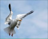 Фотография Харитоновой Екатерины