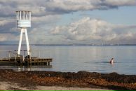 Роман Нутерман фотография #21 (источник - https://vk.com/id766871)