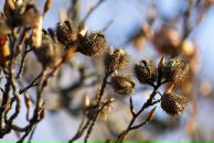 Роман Нутерман фотография #10 (источник - https://vk.com/id766871)