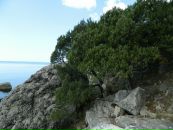 Віктор Копінський фотография #42 (источник - https://vk.com/id10115601)