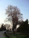 руслан_RUS Ayvazov фотография #49 (источник - https://vk.com/id19050366)