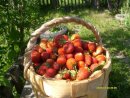 Фотография Романовой Инны