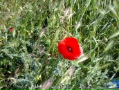 Надія Мовчан фотография #26 (источник - https://vk.com/id100976031)