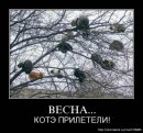 Андрій Котович фотография #48 (источник - https://vk.com/id3613472)
