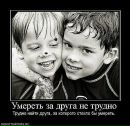 Даниїл Сівак фотография #24 (источник - https://vk.com/id112114676)