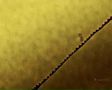 Фотография Осиповой Ольги