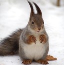 Love :) фотография #11 (источник - https://vk.com/id81002463)