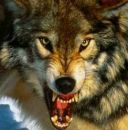 Фотография Копанева Александра