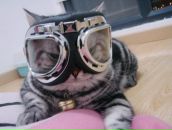 Ігор Бургарт фотография #20 (источник - https://vk.com/id61281066)