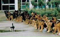 Фотография Есикова Юры