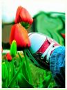 Карина :) фотография #30 (источник - https://vk.com/id71056332)