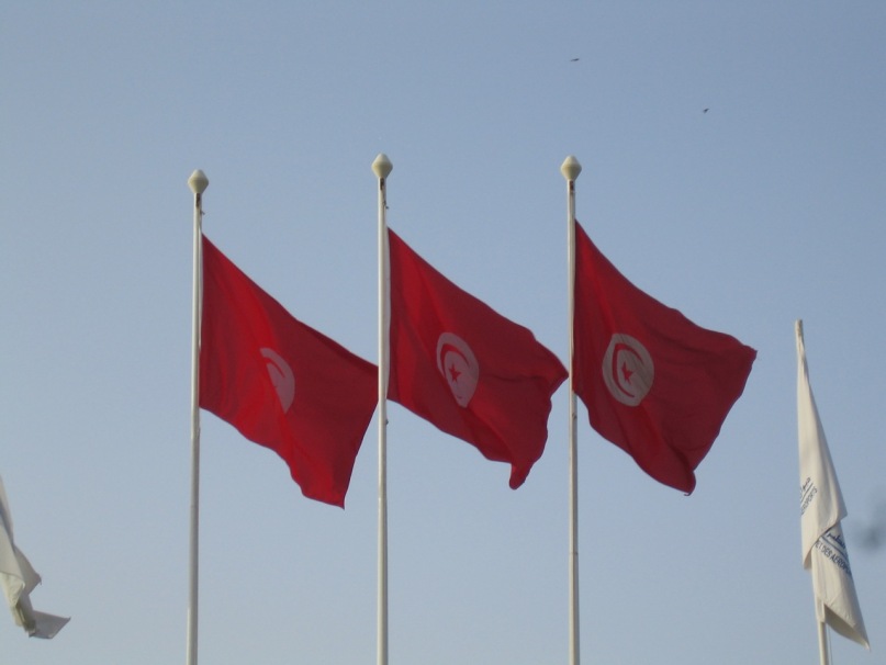 Дмитрий Иванов фотография #27