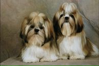 Каринка :))) фотография #39 (источник - https://vk.com/id88401957)