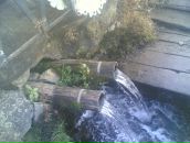 Віталій Стефаневський фотография #2 (источник - https://vk.com/id163868294)